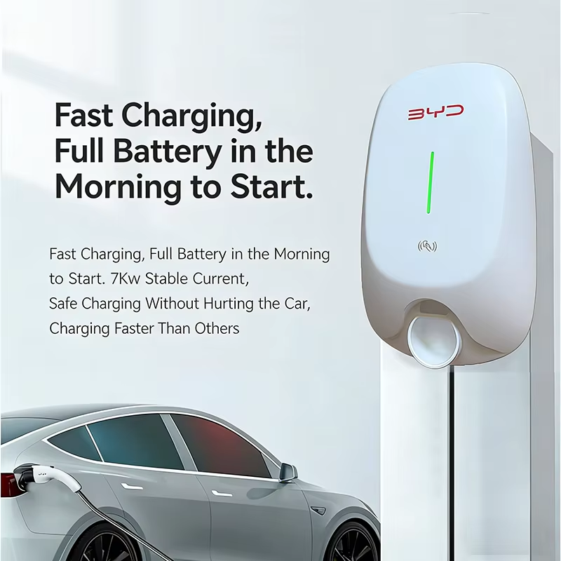 محطة شحن سيارات كهربائية مثبتة - مراجعة Wallbox Ev وسعره